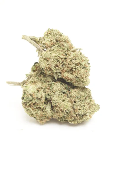 Marihuana — Stockfoto