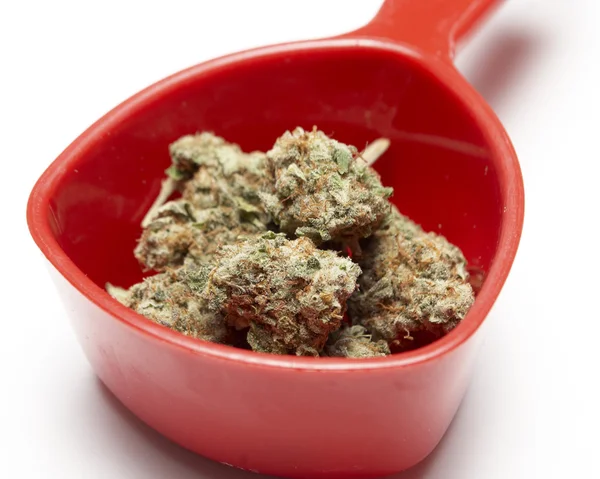 Marijuana — Stock Photo, Image