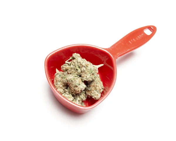 Marijuana — Stock Photo, Image