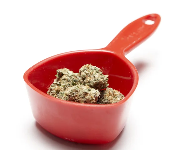 Marihuana — Stockfoto