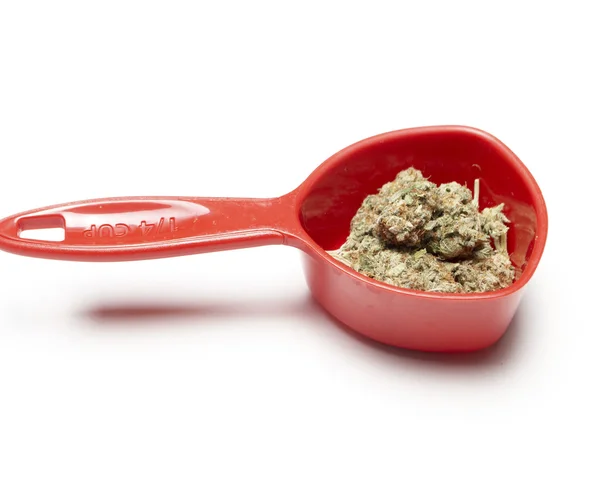 Marijuana — Stock Photo, Image