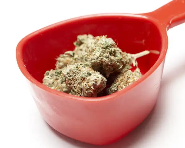 Marijuana — Stock Photo, Image