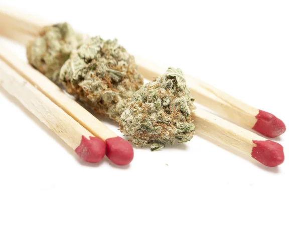 Marijuana — Stock Photo, Image