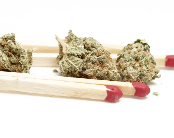 Marihuana — Stockfoto