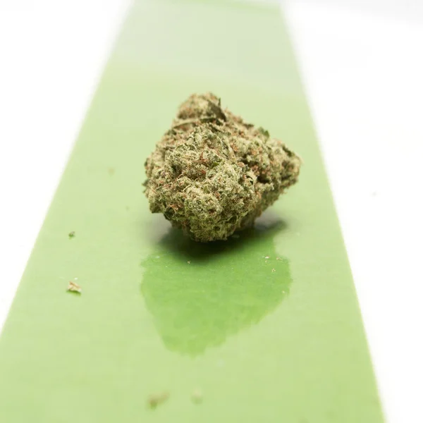 Marihuana — Stockfoto