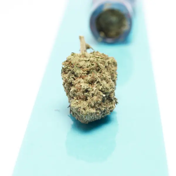 Marijuana — Photo