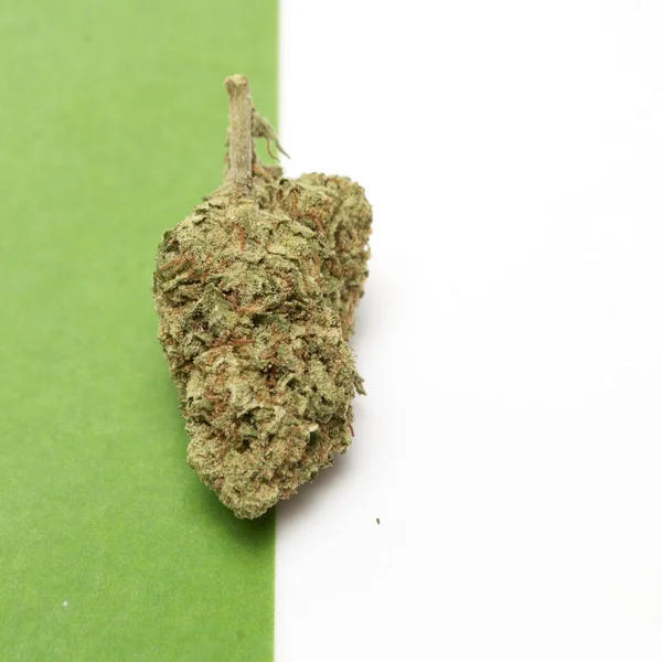 Maconha — Fotografia de Stock