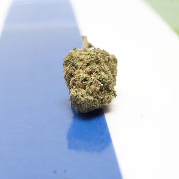 Marihuana — Stockfoto