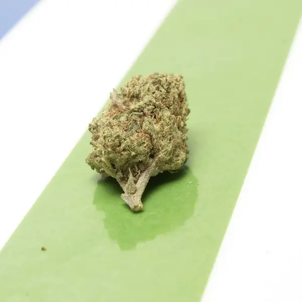 Marijuana — Stock Photo, Image