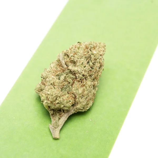 Marihuana — Stockfoto