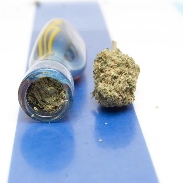 Marihuana — Stockfoto