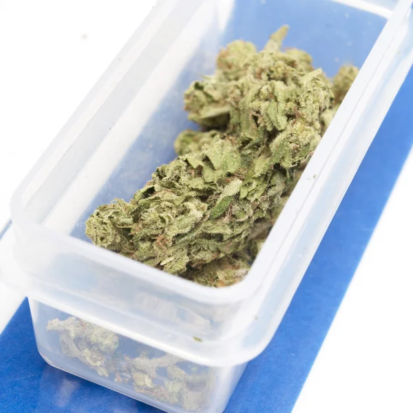 Marijuana — Stock Photo, Image