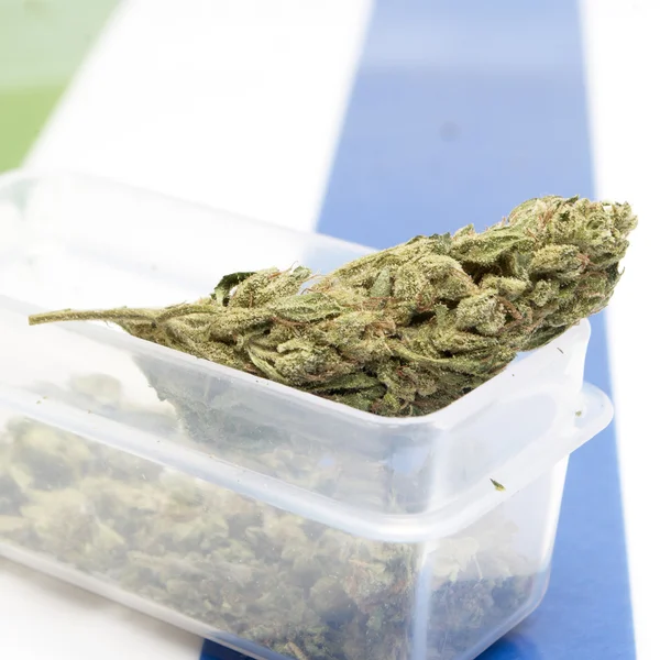 Marijuana — Stock Photo, Image