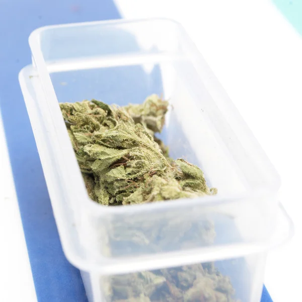 Marijuana — Stock Photo, Image