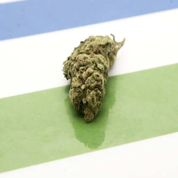 Marihuana — Stockfoto