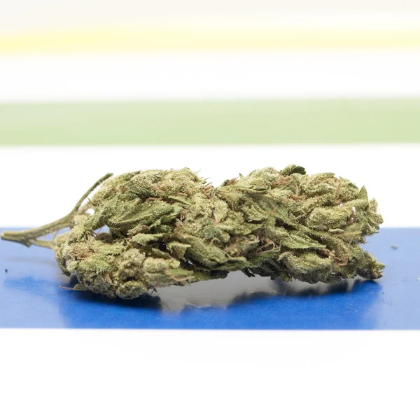 Marijuana — Stock Photo, Image