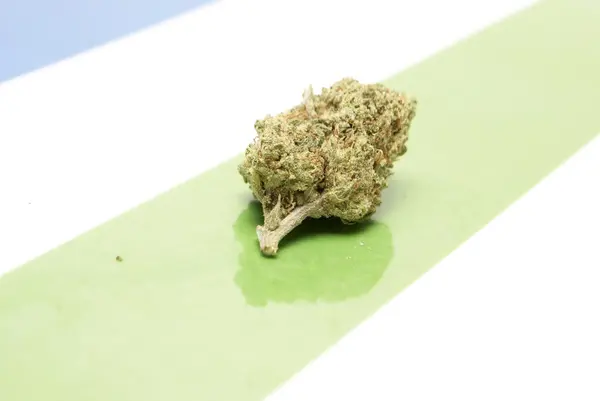 Marihuana — Stockfoto