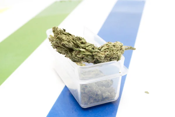 Marihuana — Stockfoto