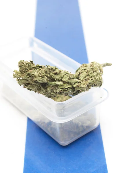 Marijuana — Stock Photo, Image