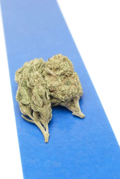 Marihuana — Stockfoto