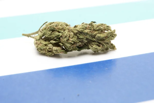 Marihuana — Stockfoto