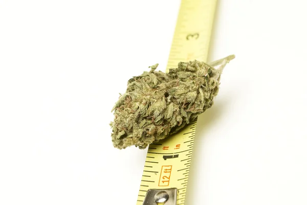 Marijuana — Stock Photo, Image