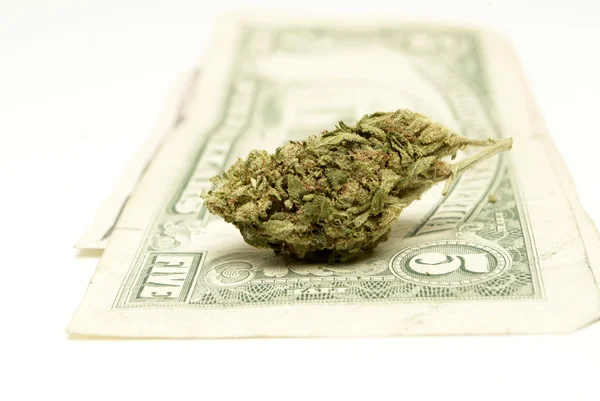 Marijuana — Stock Photo, Image