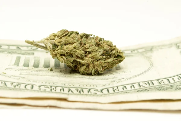 Marijuana — Stock Photo, Image