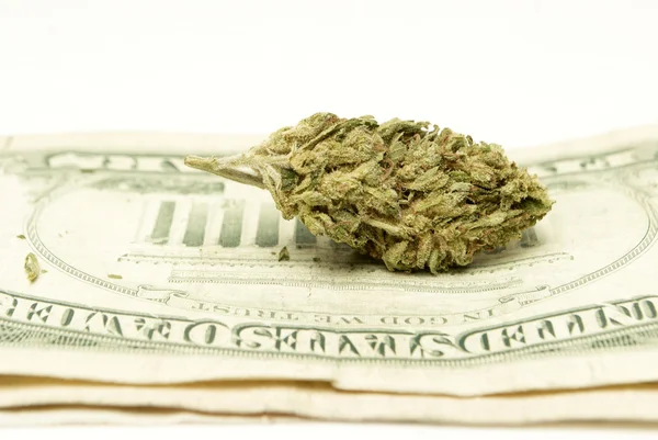 Marijuana — Stock Photo, Image