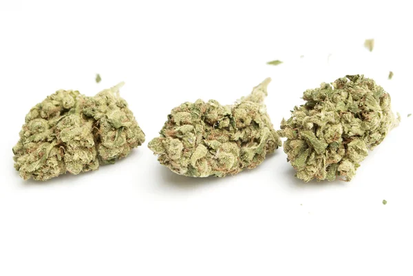 Marijuana — Foto Stock