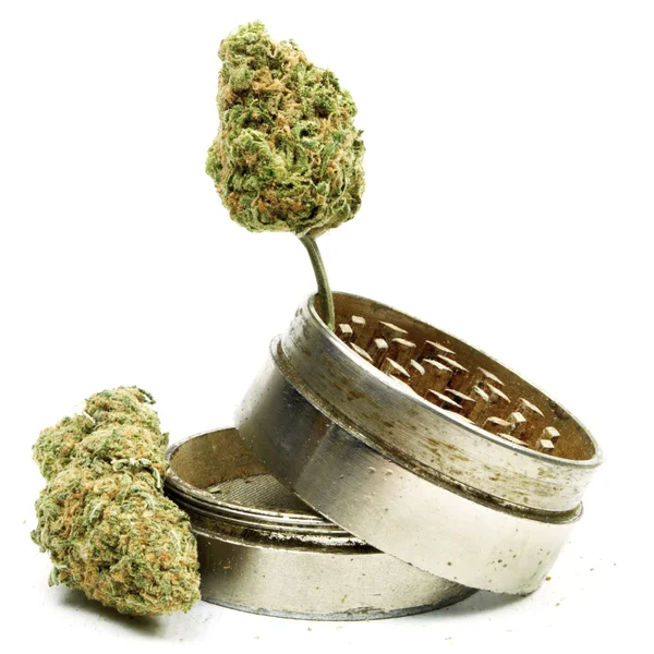 Marijuana — Foto Stock