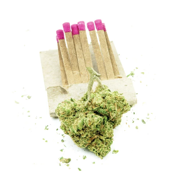 Marijuana — Foto Stock