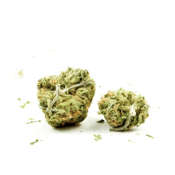 Marihuana — Stockfoto