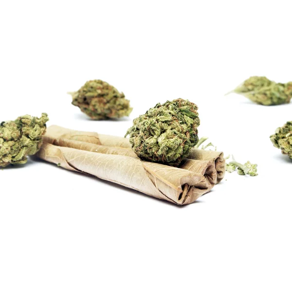Marihuana — Stockfoto