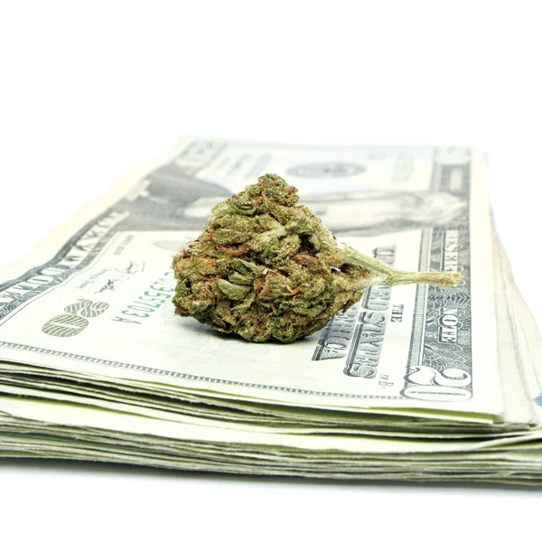 Marijuana — Stock Photo, Image