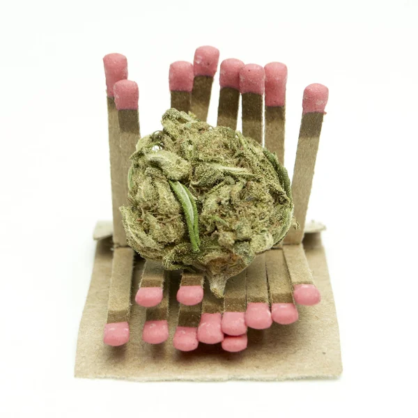 Marijuana — Stock Photo, Image