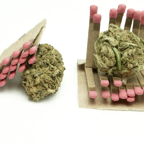 Marijuana — Photo