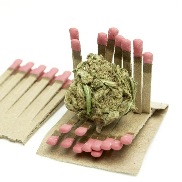 Marijuana — Stock Photo, Image