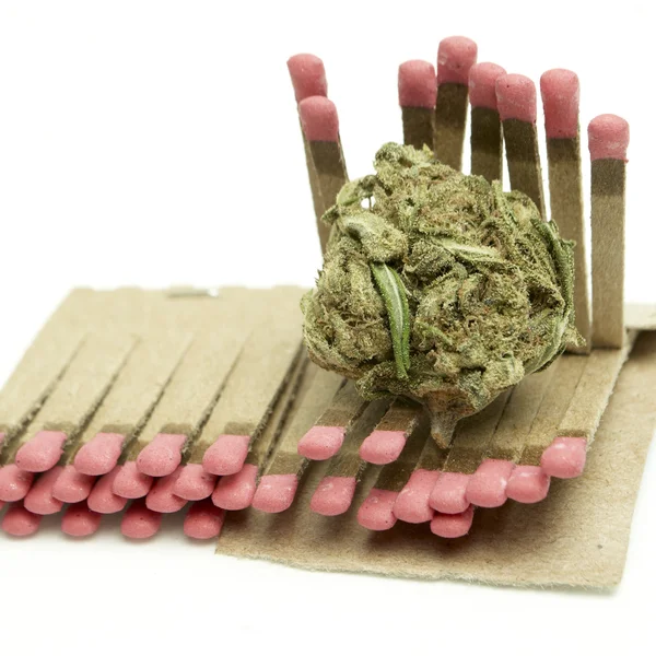 Marijuana — Foto Stock