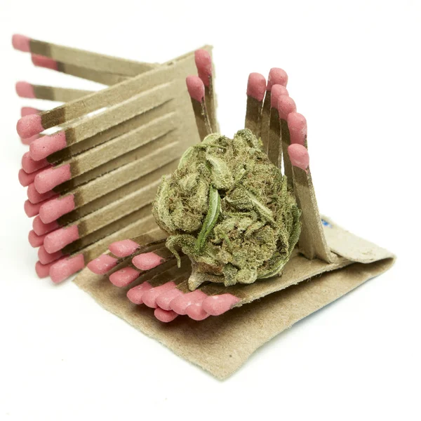 Marijuana — Stock Photo, Image