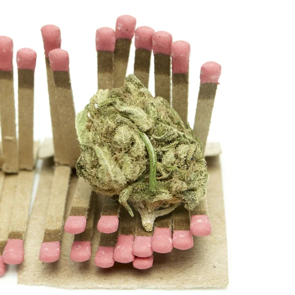 Marijuana — Stock Photo, Image