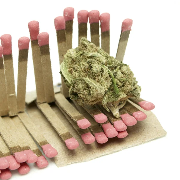 Marihuana — Stockfoto