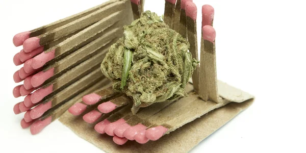 Marihuana — Stockfoto