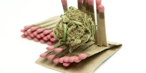 Marijuana — Stock Photo, Image