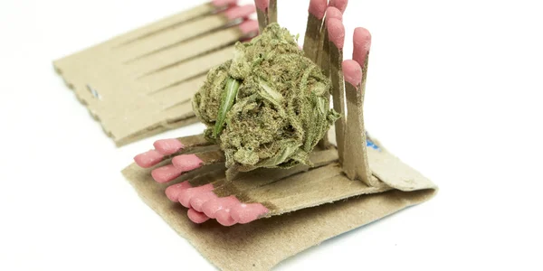 Marijuana — Stock Photo, Image