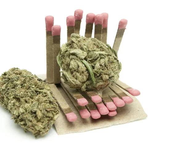 Marijuana — Foto Stock