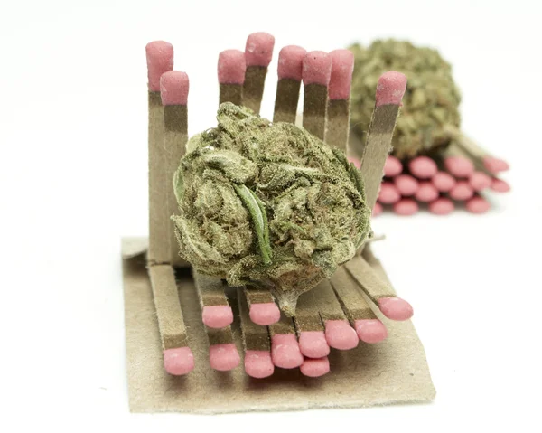 Marijuana — Stock Photo, Image