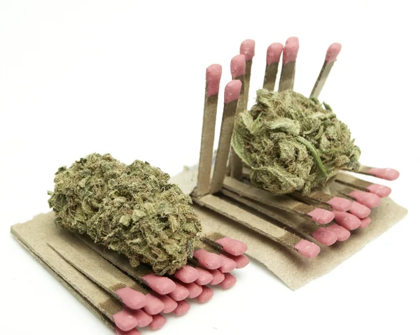 Marihuana — Stockfoto