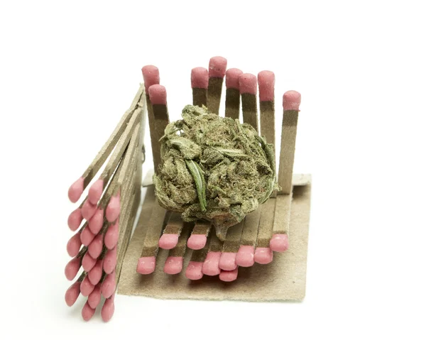 Marijuana — Foto Stock