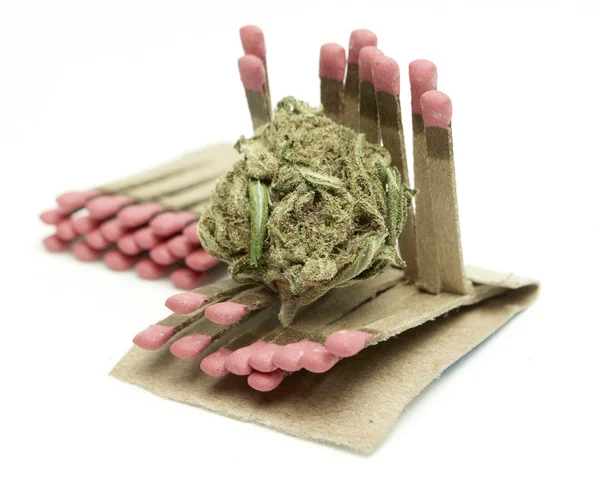 Marijuana — Stock Photo, Image